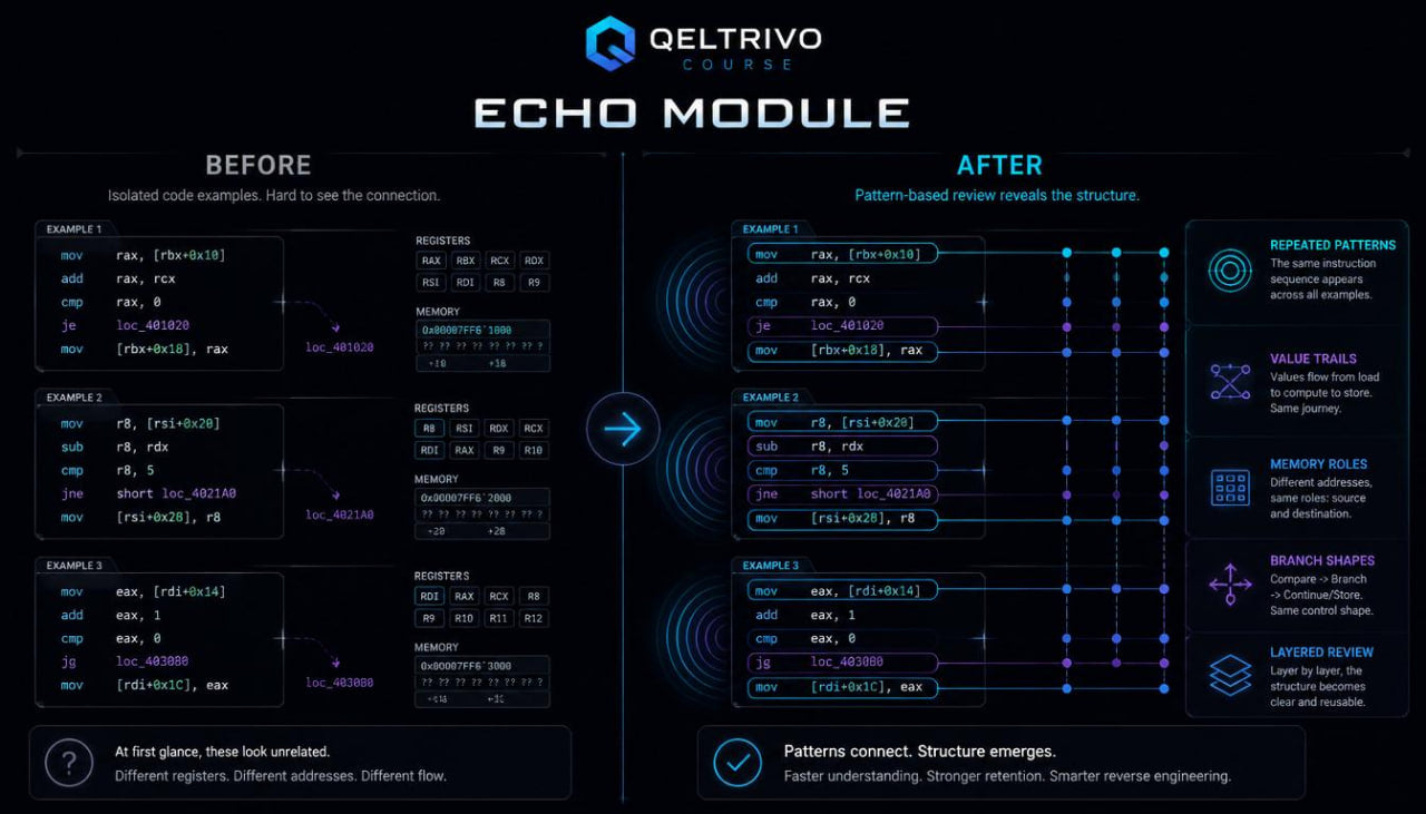 Oeltrivo Echo Module comparison before and after with technical text and diagrams.