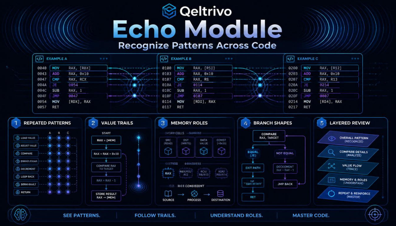 Qeltrivo Echo Module interface with various features on a dark background