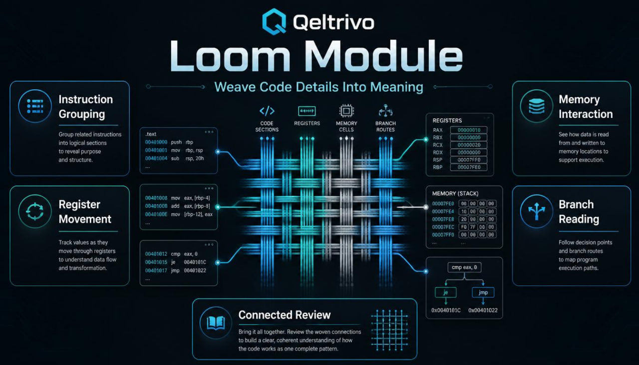 Qeltrivo Loom Module diagram with technical details on a dark background